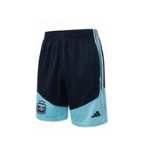 Argentina Sapphire Blue Sleeveless Set
