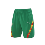 Senegal Green Sleeveless Set