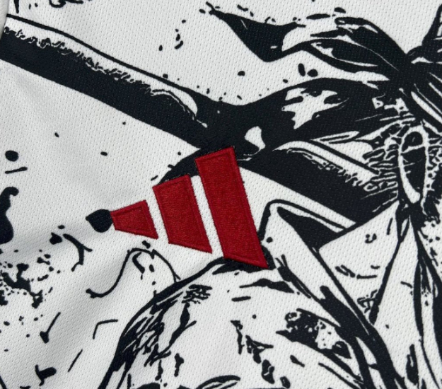 Japan Zoro Special Kit